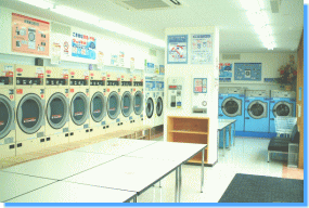 ファインウォッシュ店内