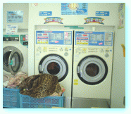 コインランドリー伊豆木器店内